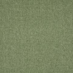 Tundra Meadow green curtain fabric