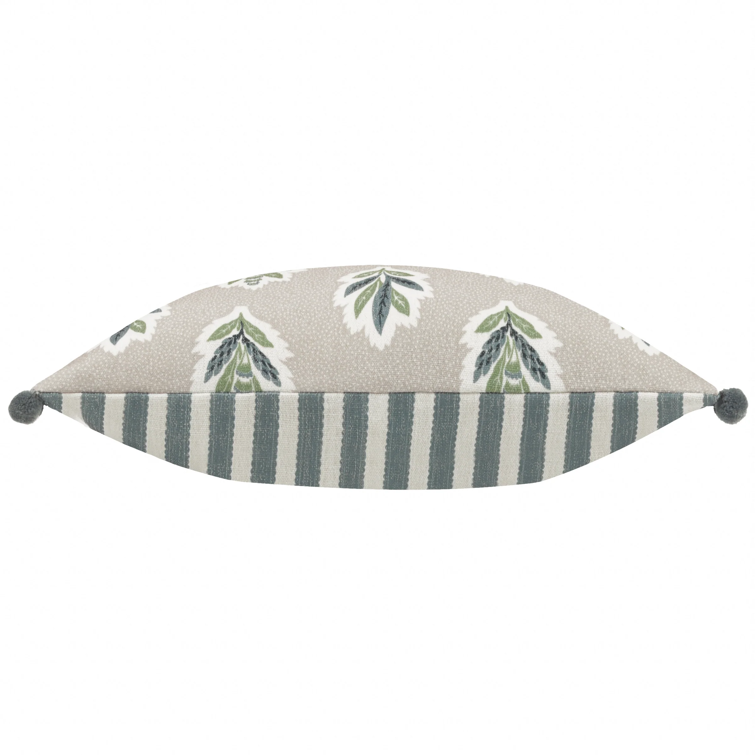 Sessile Leaf Cushion Flax - Image 4