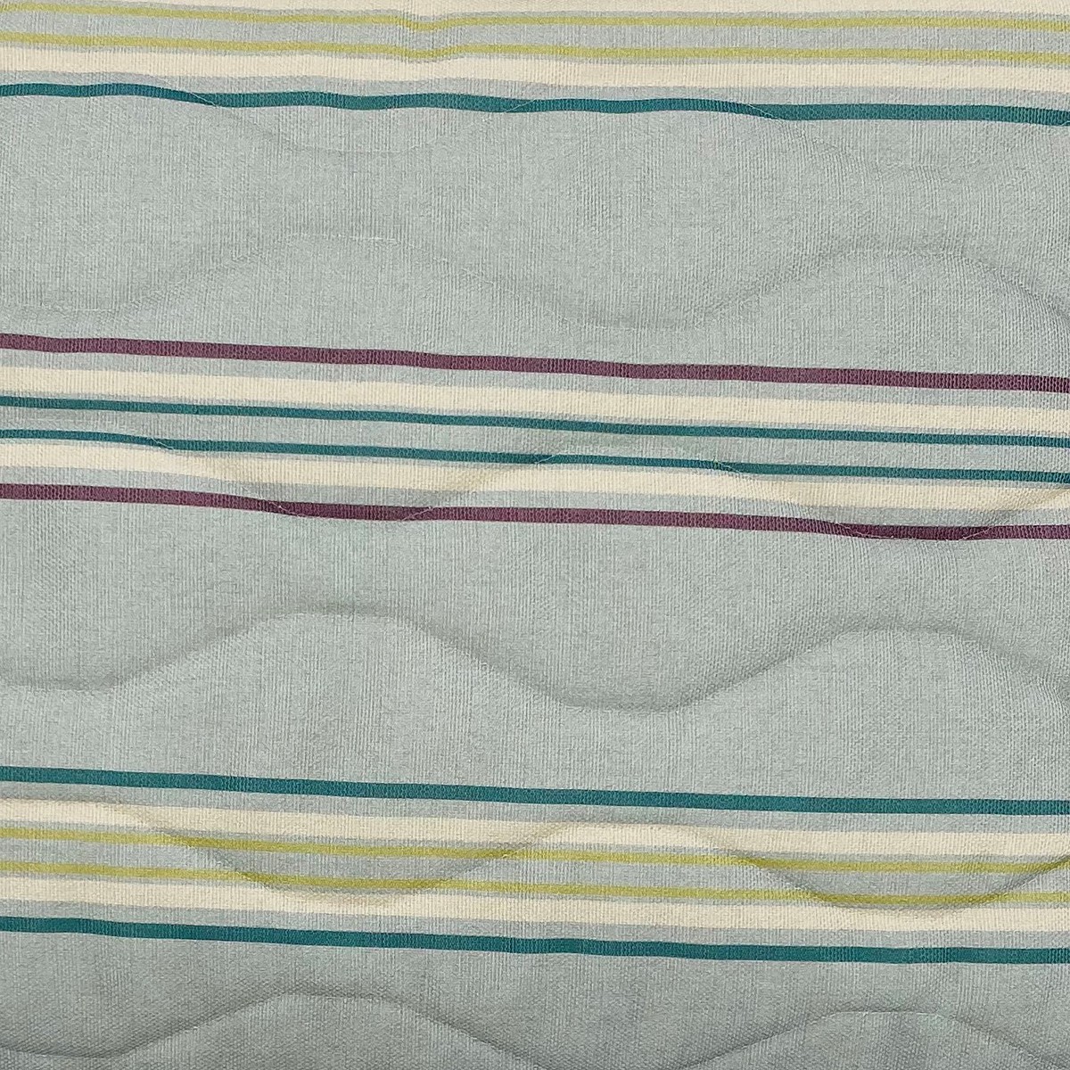 Gazania Chalk Blue Cushion